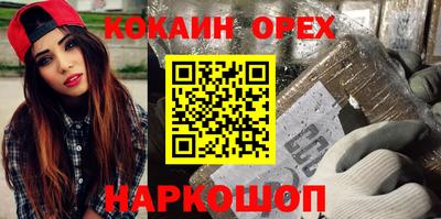стаф Можга
