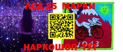 стаф Можга