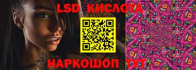 стаф Можга