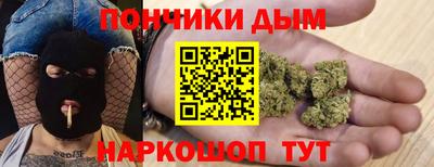 стаф Можга