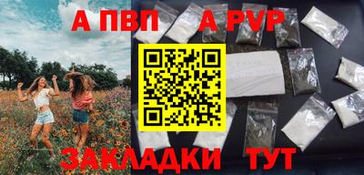 стаф Можга
