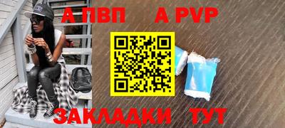 стаф Можга